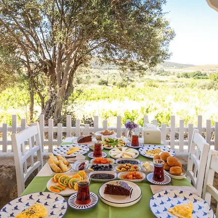 Elvin Hotel Bozcaada